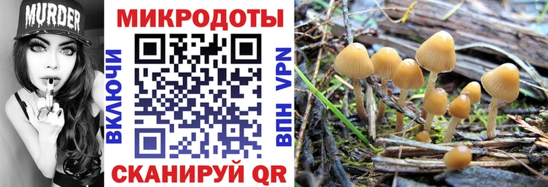 Псилоцибиновые грибы Psilocybe  блэк спрут ССЫЛКА  Пучеж  где купить наркотик 