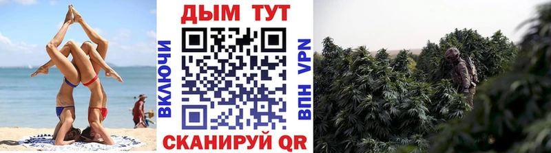 Каннабис планчик  Пучеж 